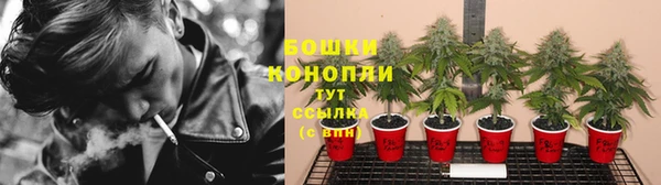 дмт Вязьма
