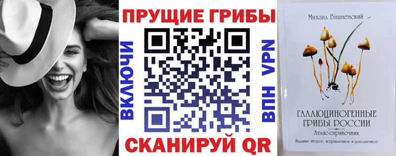 наркота  Мончегорск  Галлюциногенные грибы мицелий 