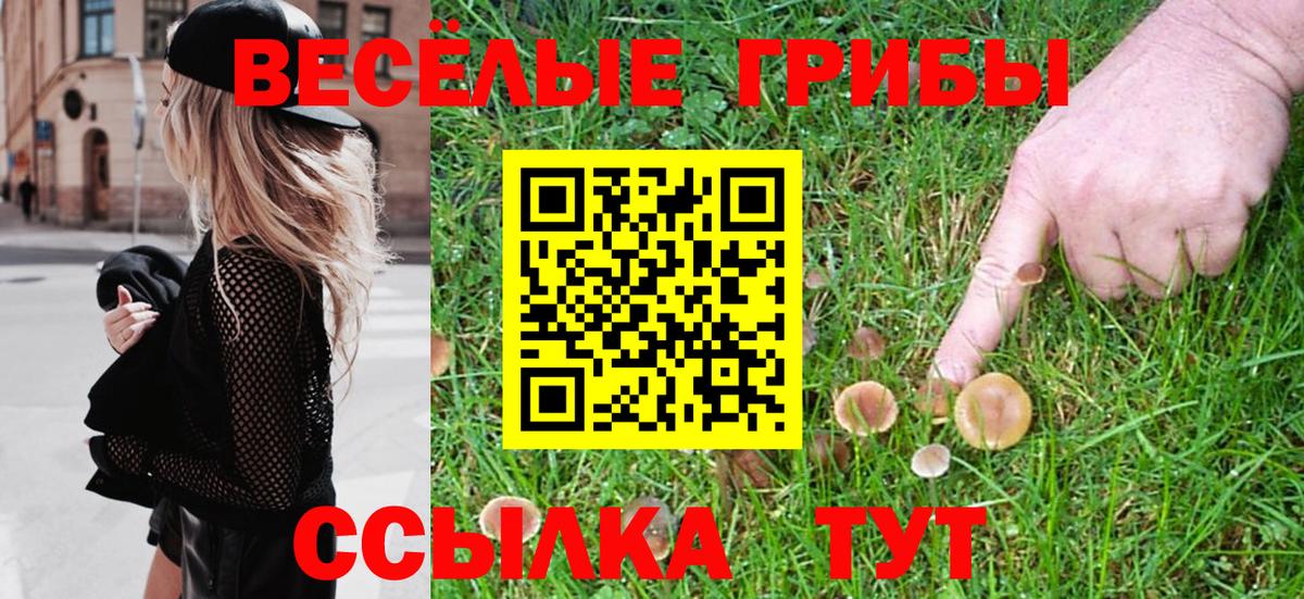 Псилоцибиновые грибы Cubensis  Вход с VPN  Мончегорск 