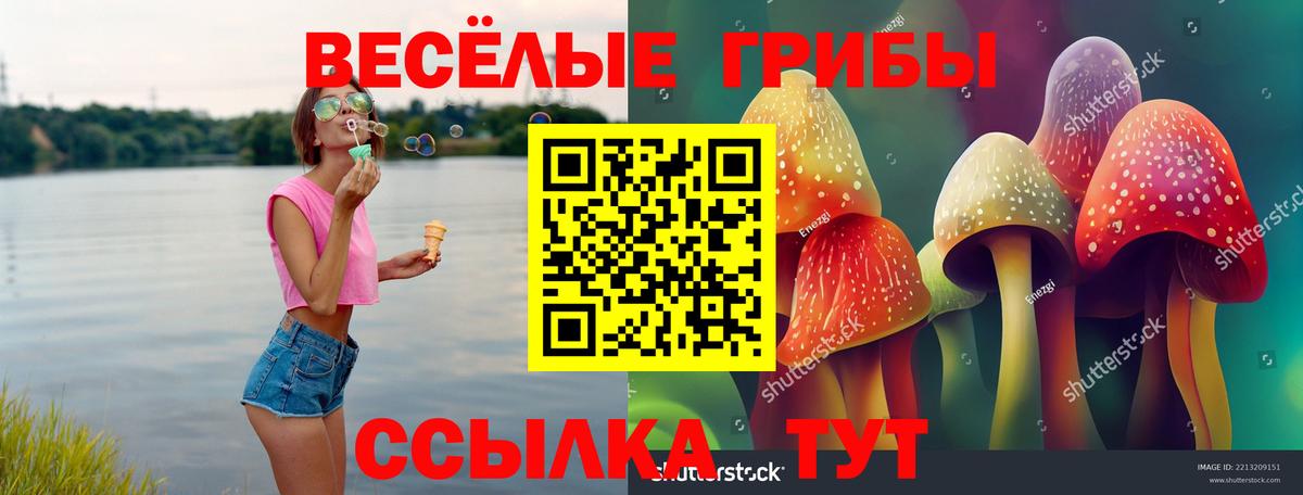 Галлюциногенные грибы GOLDEN TEACHER Мончегорск